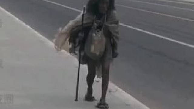 当你还在犹豫当中，别人已经养了几批得手了#鳄鱼养殖场