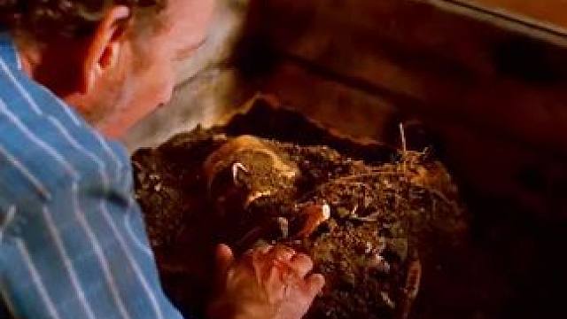 #因为一个片段看了整部剧 #我的观影报告