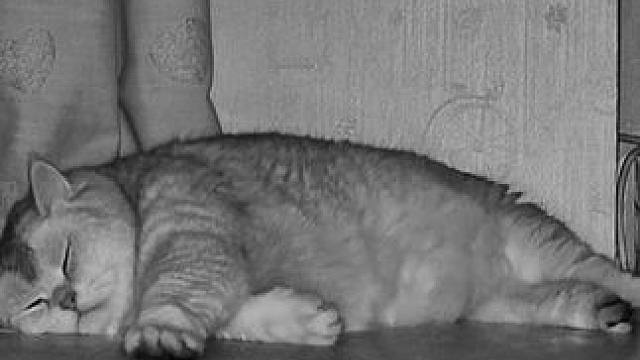 我发布了一个新视频，快来围观吧！