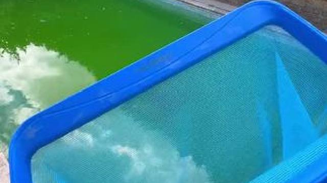 我发布了一个新视频，快来围观吧！