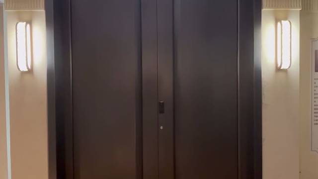 轻奢风的纯铜入户门#别墅门 #偏轴门 #TINNO帝诺系统入户门