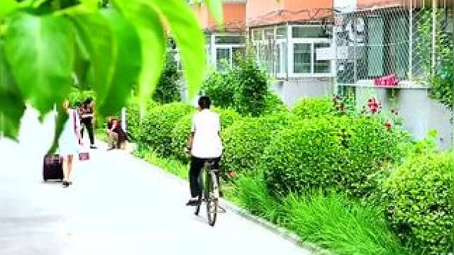 下载《西瓜视频》，免费观看精彩后续/精彩海量免费短剧免费看！ #因为一个片段看了整部剧