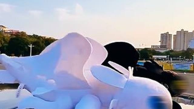 谁会拒绝在车顶养一只会飞的无牙仔呢 #无牙仔 #车载好物 #无牙仔车顶装饰