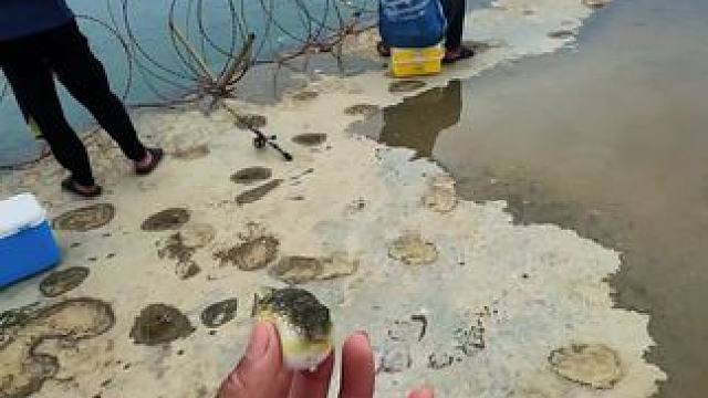 擦鞋酱！！！#捡不完根本捡不完