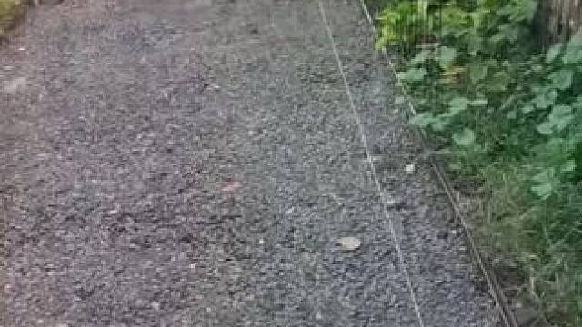 我发布了一个新视频，快来围观吧！