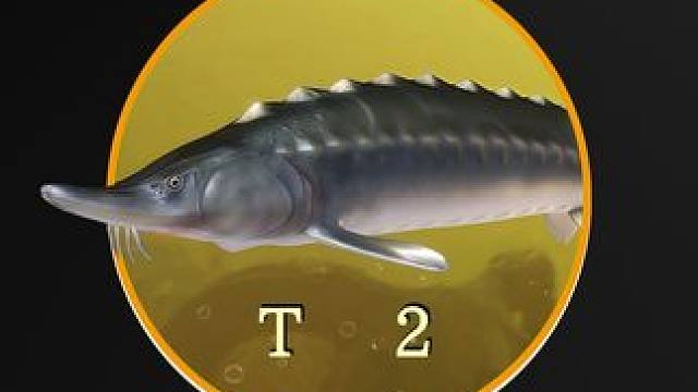 欢乐钓鱼大师现实中长什么样？ #欢乐钓鱼大师 #钓鱼