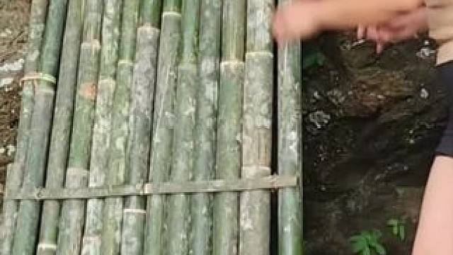 野外建造庇护所独居 #荒野建造 #野外建造 #庇护所 #野外生存 #归隐山林