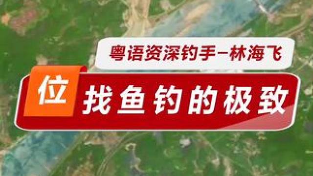 江河找鱼钓的极致 江河找鱼钓的极致表现，北江公步头，一年一度的鲮鱼盛宴，你能钓多少？#钓鱼#野钓#鲮