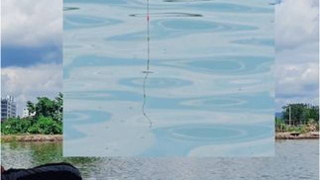 钓青鱼这样的点口也打得到吗？#钓鱼 #2024dou来钓鱼 #钓鱼人就是