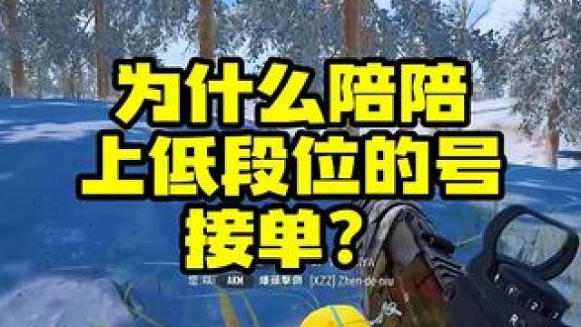 很多人疑惑为什么陪陪要上低段位的号接单 #绝地求生 #pubg #游戏日常