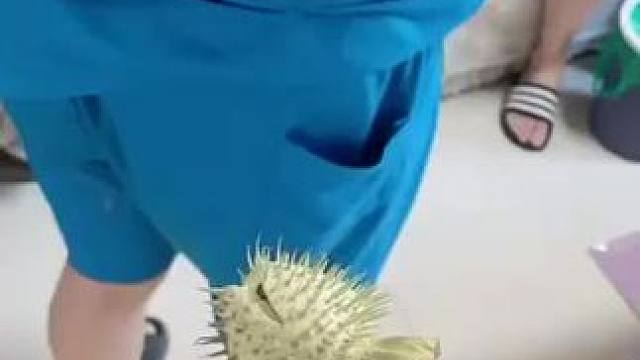 我发布了一个新视频，快来围观吧！