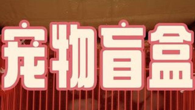 宠物盲盒 #新手养宠