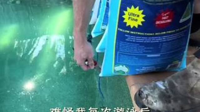 我发布了一个新视频，快来围观吧！