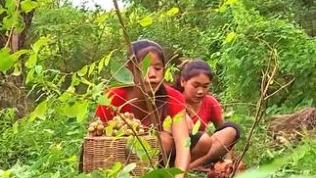 螃蟹和睡莲在森林里是美味的食物 #户外美食 #大山里的味道 #生活的烟火气息 #野外生活纪录片 #原