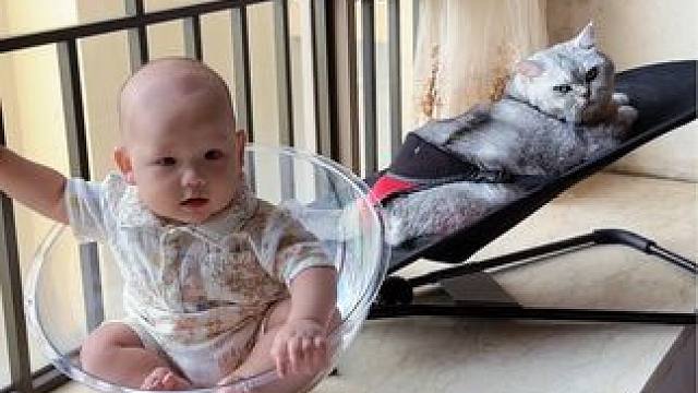 弟弟又捡了一个蛋蛋的窝 