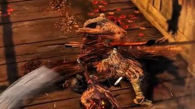 不知道在等什么，好像也等不来什么 #只狼 #只狼影逝二度 #每一帧都是热爱