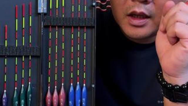 全水域浮漂套装12支 12支浮漂套装，深水、浅水浮漂都有，而且都是漂尾加粗，看漂清晰醒目。#浮漂鱼漂