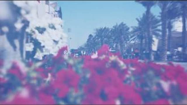 2024又是新的起点#每一帧都是热爱 #f1赛车 #周冠宇 #f1中国大奖赛