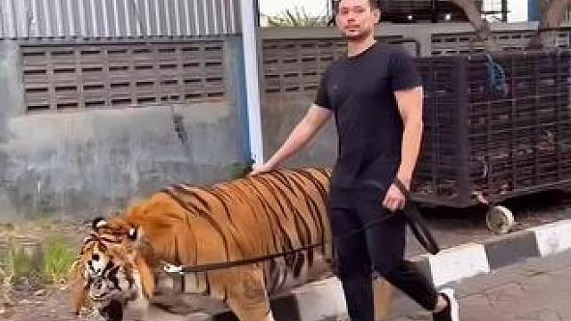 这是我的小猫咪
