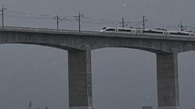 换个角度，壮观#中国基建狂魔 #泉州跨海大桥 #高铁