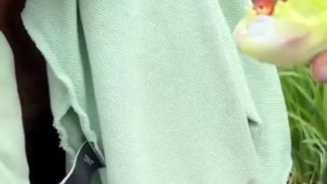 来来来 #农村生活