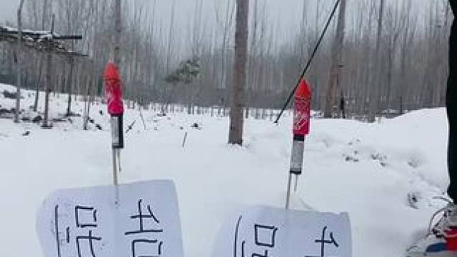 我发布了一个新视频，快来围观吧！