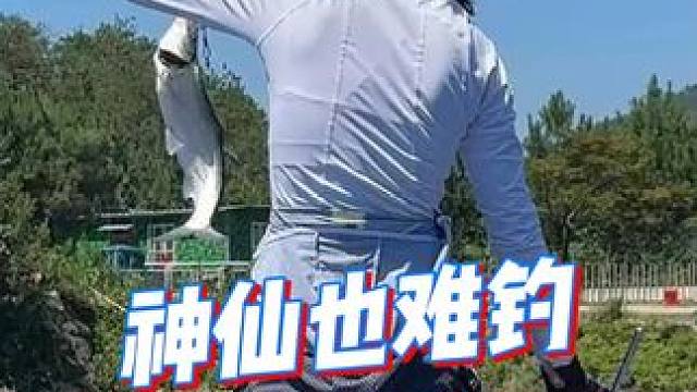 我手上同款鹞套装如果你也喜欢点头像进直播间！#佳钓尼岚酷路亚 #路亚 #