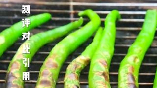 #揭秘 #试吃 #打假 #下饭神器 #拌饭酱