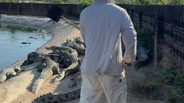 新来的，看到最后……