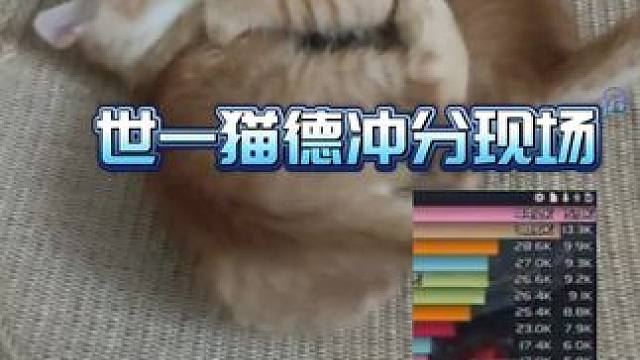 世一猫德冲分现场！#魔兽世界 #游戏日常 #魔兽世界怀旧服