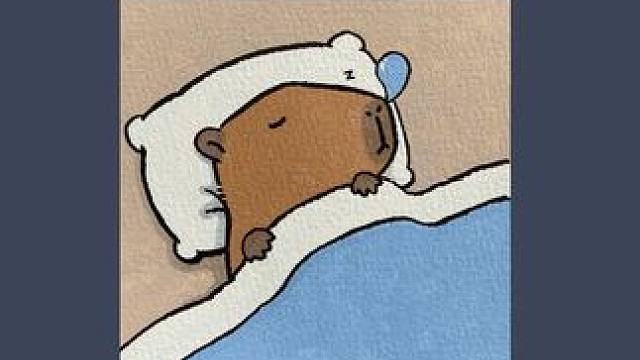 丙烯马克笔 | 晚安卡皮巴拉 笔：掌握直液式丙烯马克笔80色 纸：宝虹水彩纸300g中粗纹
#丙烯马