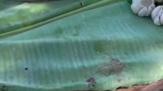 东南亚乡村美食 #我的乡村生活 #农村生活 #农村美食 #原始美味