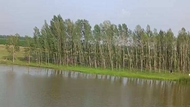 倪雅各欣赏的地方