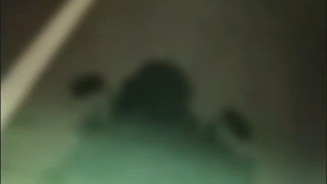 需要我用一生去猜