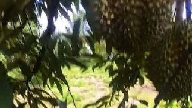 我发布了一个新视频，快来围观吧！