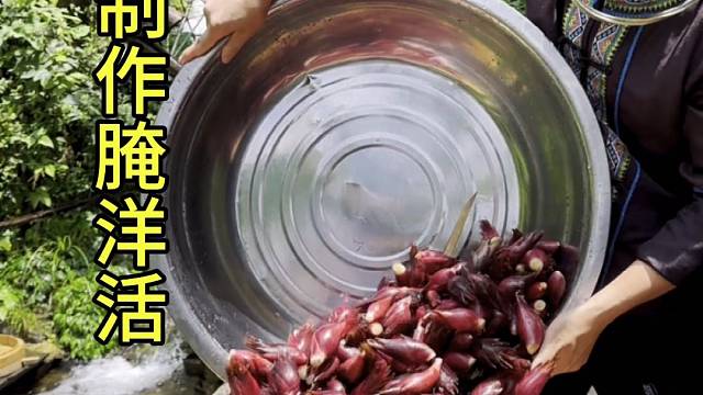 腌制洋活