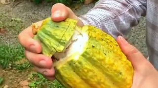 水果的正确 小妙招#小妙招 #小妙招大作用 #小妙招分享