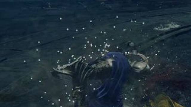 #艾尔登法环 #黄金树幽影 双月骑士 蕾菈娜 DLC 第一个BOSS，怎么都没想到是以这样的结局完成