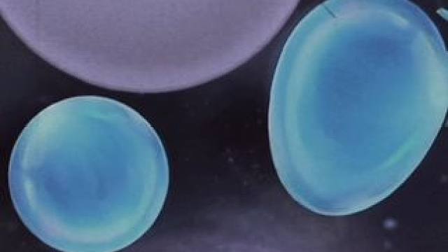 我很少用天帅形容一个视频