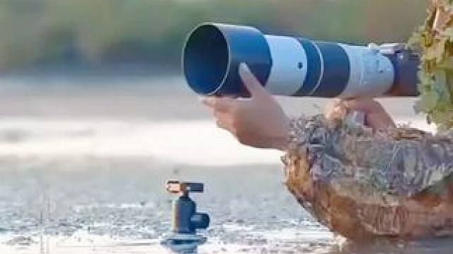 #野生鸟类摄影 #人与自然万物和谐共处 #动物鸟世界 #近距离观看一只奇怪的鸟 #难得一见 ！