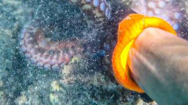 这下丢人啦 ... #赶海 #钓鱼 #VLOG