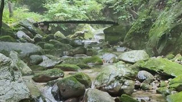 这么原始的地方，依然保存着人们谋生的必经之路。#山间小溪 #清水绿苔 #山野自然 #小溪流水哗啦啦