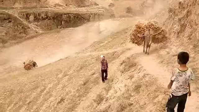 可怜的毛馿子受罪了[捂脸]