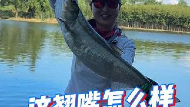 我手上同款鹞直播间好价安排！#佳钓尼岚酷路亚 #路亚 #佳钓尼 #佳钓尼