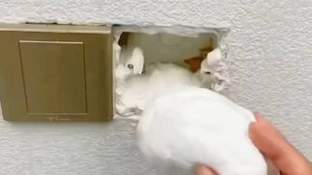 家里有各种窟窿洞，都可以用上这种能填住，密封效果也很好#密封胶泥  #实物好用  #好物推荐  #好