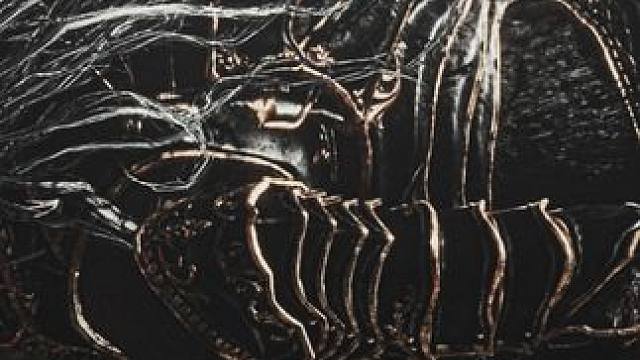 '领域展开“ #steam游戏 #艾尔登法环 #游戏中的震撼瞬间