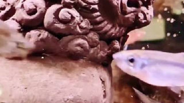 测一测你的财运，看看你在这里能找到几个宝藏，找到越多，财运越旺#解压 #美出高级感 #接福接财接好运