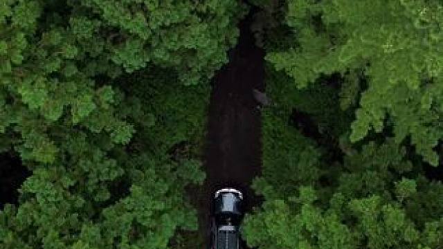 森林里的闲适 #露营报告