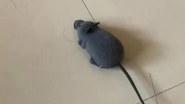 我发布了一个新视频，快来围观吧！