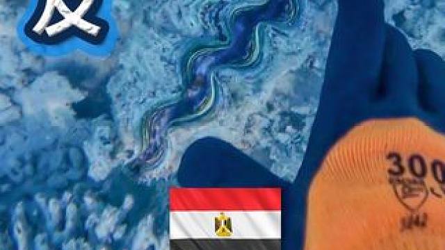 环球旅行  埃及红海好多   ！！！ #交换世界计划 #赶海 #钓鱼 #vlog